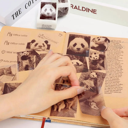 Transparent Adhesive Thermal Sticker Paper for M02/T02/M02 Sticker Photo Printer and 57Mm Width Print Mini Pocket Printer Camera